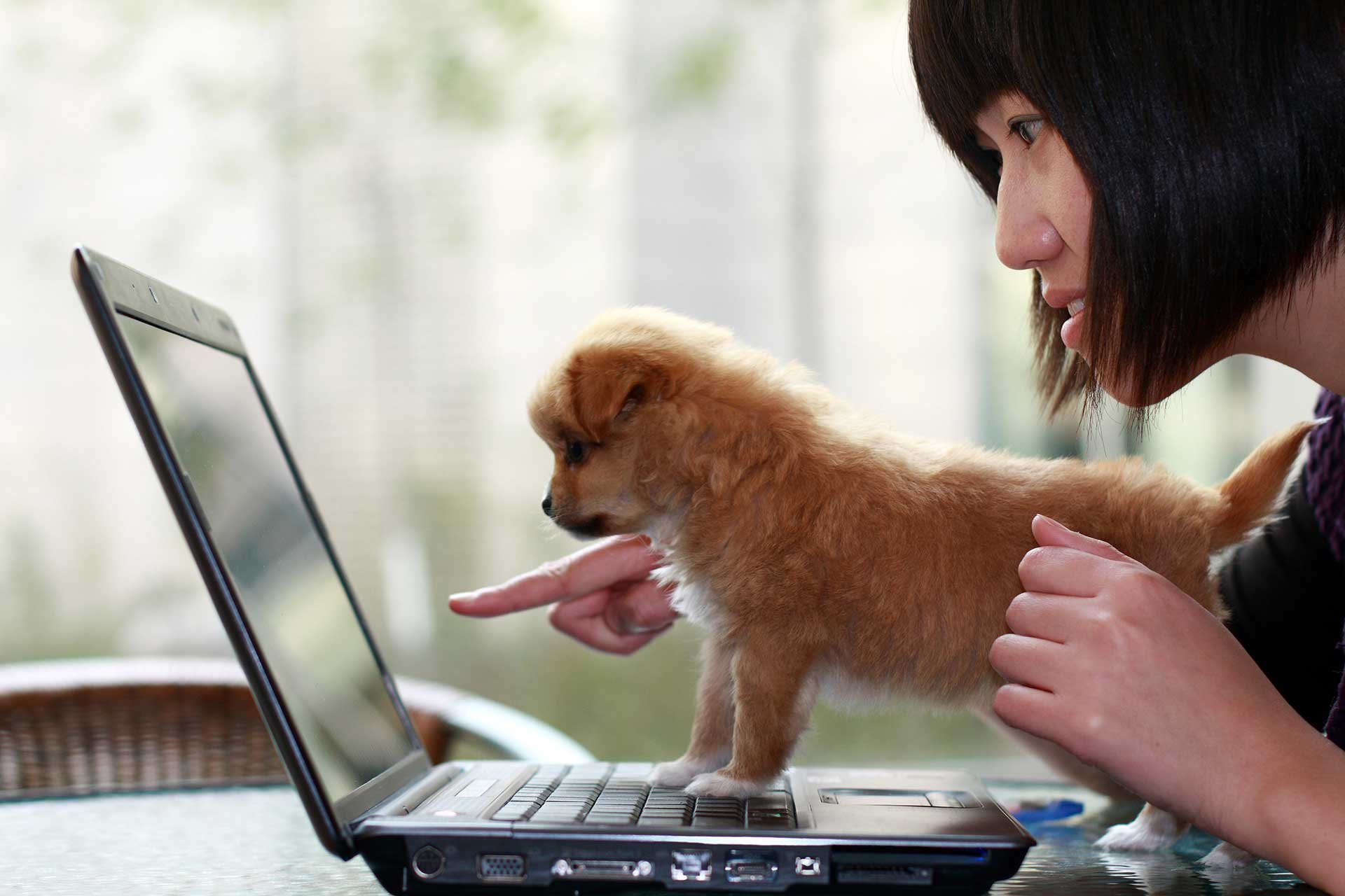 Woman with dog at computer