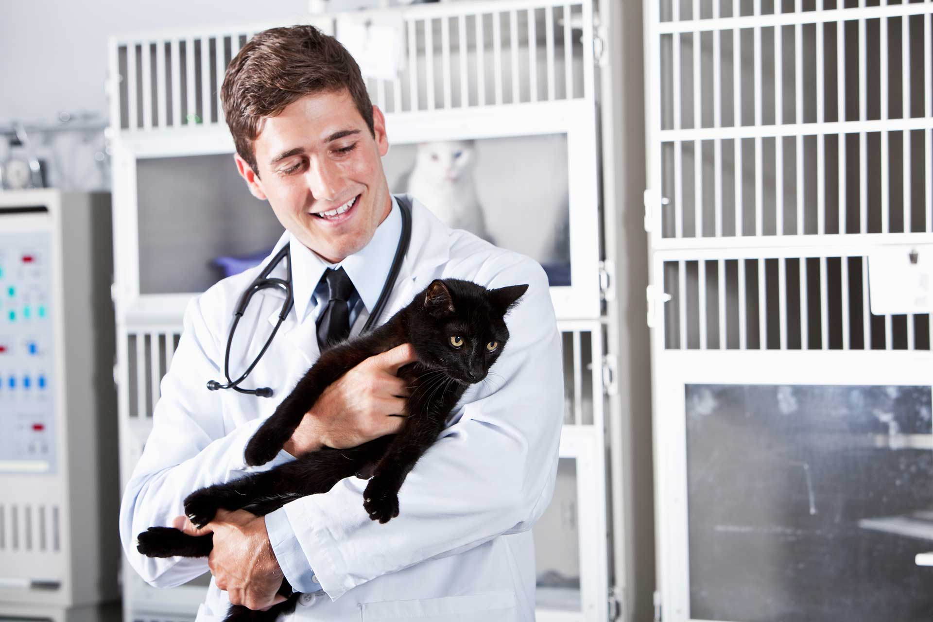 Stress Management for Veterinarians 