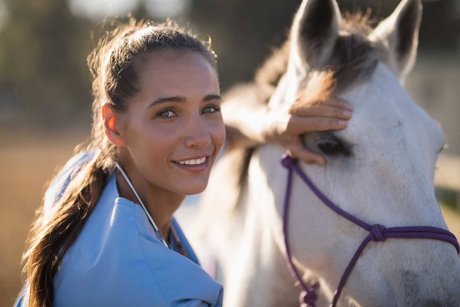 Female vet with horse