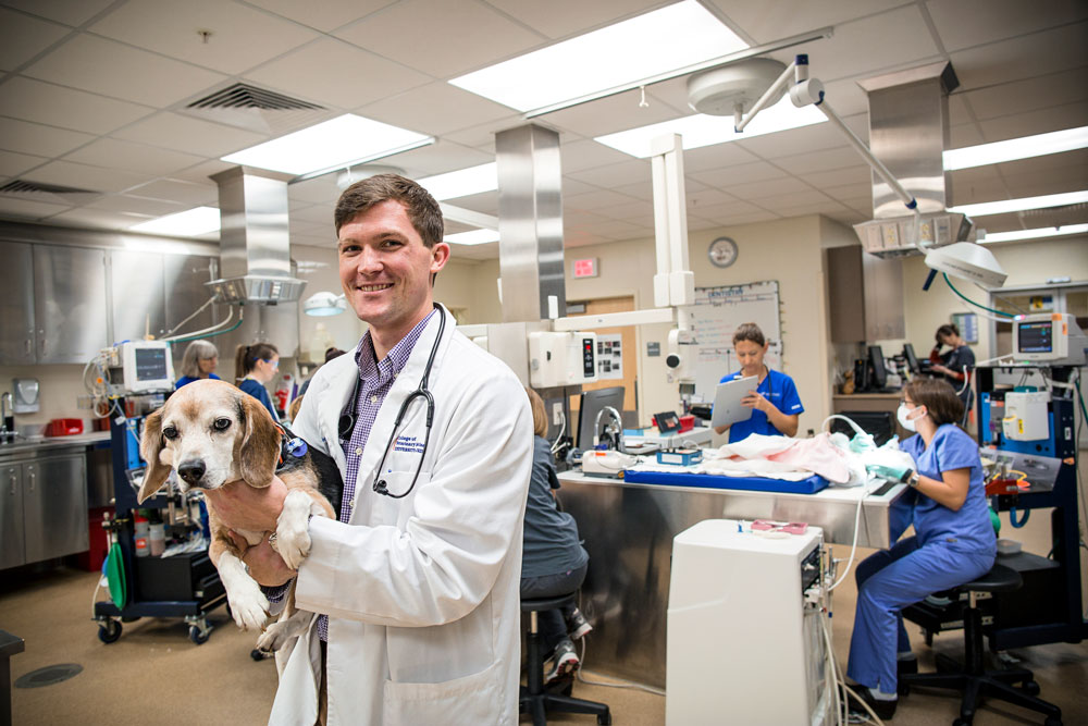 Wellbeing Assessment for Veterinarians – AVMA My Veterinary Life